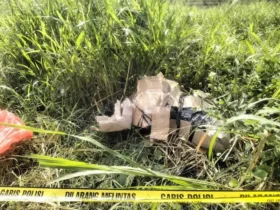 Penemuan mayat perempuan yang dibungkus kardus dan plastik di Desa Banyuurip, Kecamatan Kedamean, Gresik.(Istimewa)