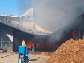 Gudang pengeringan kopra milik CV Elvatara di Desa Kedamean, Kecamatan Kedamean, Kabupaten Gresik terbakar.(istimewa)