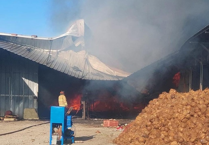 Gudang pengeringan kopra milik CV Elvatara di Desa Kedamean, Kecamatan Kedamean, Kabupaten Gresik terbakar.(istimewa)