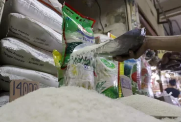 Ilustrasi: butir beras dijual di pasaran (B-Universe Photo/Joanito De Saojoao)