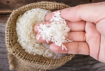 Ilustrasi: butiran beras (blok-a.com/ist)