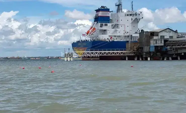 Ribuan patok merah di pesisir laut Gresik. (blok-a.com/ivan)
