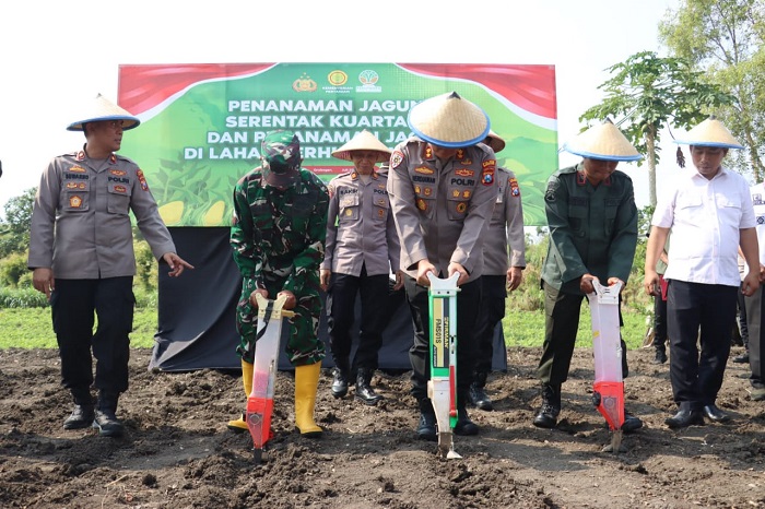 Kapolres Mojokerto kota AKBP Herdiawan Arifianto sedang menanam jagung serentak di lahan Dawar Blandong.(blok-a.com/Syahrul Wijaya)