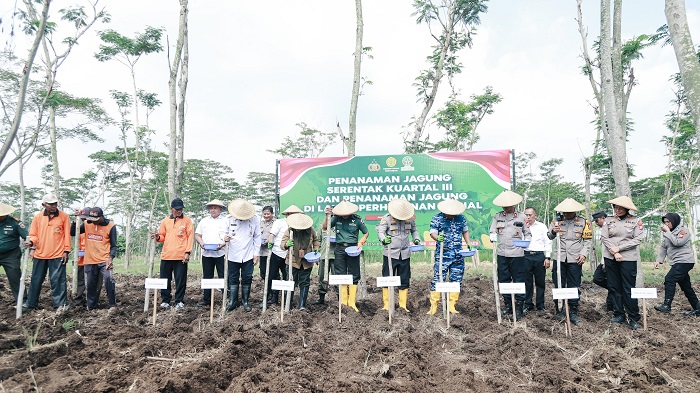 Kapolres Jombang bersama Forkopimda tanam jagung di lahan perhutanan sosial Mojowarno.(blok-a.com/Syahrul Wijaya)