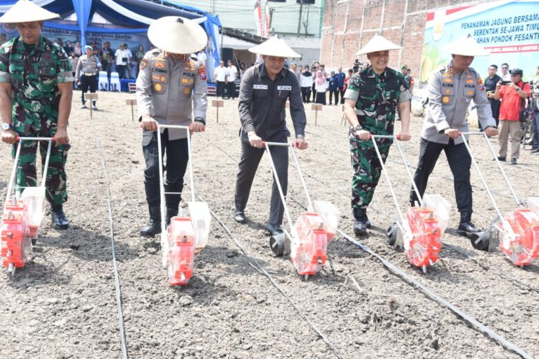 Pelaksanaan tanam jagung nasional di Ponpes Bumi Sholawat Sidoarjo.