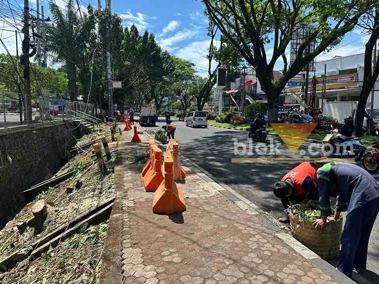 Perapian pohon sebelum pengerjaan drainase di Jalan Soekarno-Hatta, Kota Malang (blok-a/Zul)