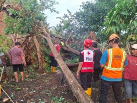 Hujan deras disertai angin kencang yang menyebabkan puluhan rumah rusak di Kabupaten Malang (BPBD)