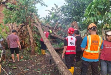 Hujan deras disertai angin kencang yang menyebabkan puluhan rumah rusak di Kabupaten Malang (BPBD)