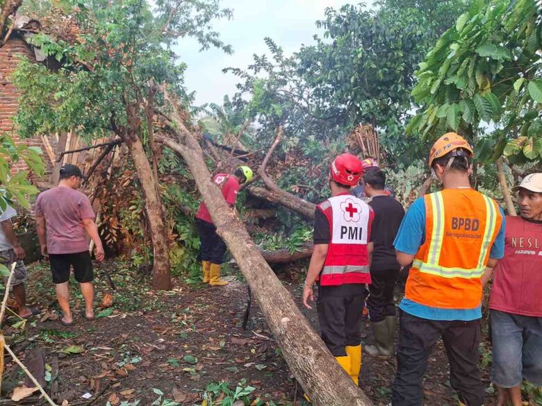 Hujan deras disertai angin kencang yang menyebabkan puluhan rumah rusak di Kabupaten Malang (BPBD)