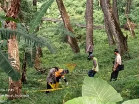 Lokasi penemuan potongan kaki manusia di lereng jurang Pacet, Mojokerto.(blok-a.com/Syahrul Wijaya)