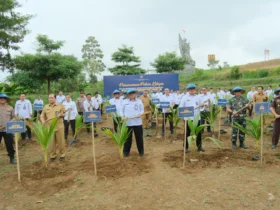 Ribuan Bibit Kelapa Disemai di SAE L’SIMA Malang
