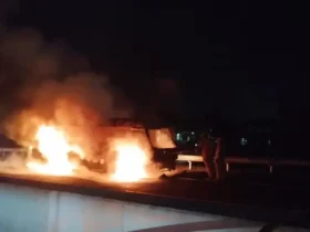Kebakaran yang terjadi di Exit Tol Singosari pada Jumat (26/9/2025) sore (foto: damkarkabupatenmalang)