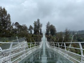 Jembatan Kaca Bromo Resmi di Bawah Pengelolaan Kementerian Kehutanan