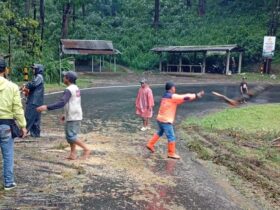 Proses evakuasi pohon tumbang di Ngantang, Kabupaten Malang (BPBDKabMalang)