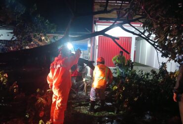 Truk Kontainer Tabrak Pohon di Kepanjen, Dua Orang Luka Termasuk Bayi 16 Bulan