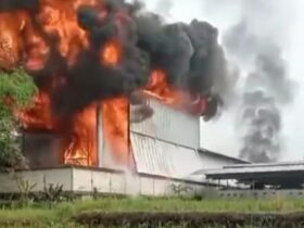 Kebakaran pabrik triplek Margo Joyo Plywood di Dusun/Desa Karangharjo, Kecamatan Glenmore, Banyuwangi, Senin (27/10/2025)