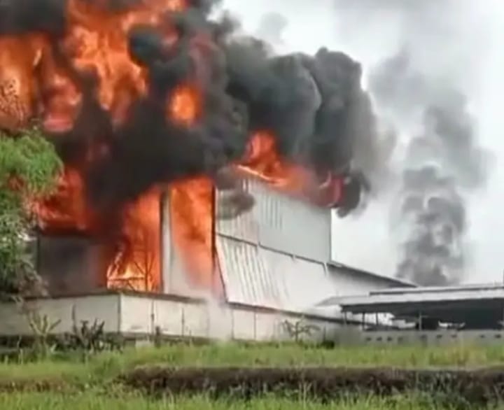 Kebakaran pabrik triplek Margo Joyo Plywood di Dusun/Desa Karangharjo, Kecamatan Glenmore, Banyuwangi, Senin (27/10/2025)