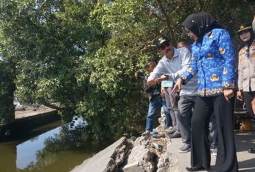 Wakil Bupati Sidoarjo, Mimik Idayana saat tinjau lokasi jembatan Tambak Cemandi, Sedati.