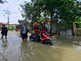 Banjir melanda 4 desa di dua Kecamatan, Kabupaten Gresik, Jawa Timur akibat Kali Lamong meluap.(Ist)