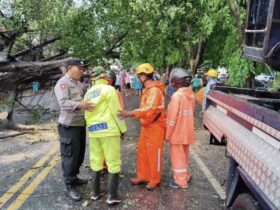 Puting Beliung Terjang Kota Malang, 14 Titik Pohon Tumbang dan 3 Warga Luka