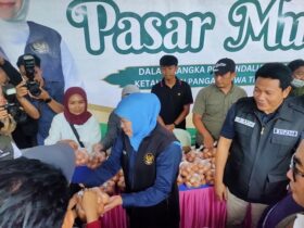 Bupati Sidoarjo bersama Gubernur Jawa Timur dalam kegiatan pasar murah di Kelurahan Kemasan, Kecamatan Krian, Sidoarjo.