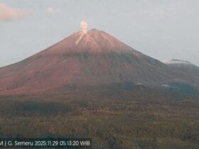 Status Gunung Semeru turun ke level siaga. (Dok. PVMBG)