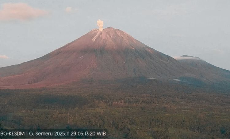 Status Gunung Semeru turun ke level siaga. (Dok. PVMBG)