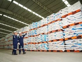 Stok pupuk bersubsidi nasional di gudang Petrokimia Gresik.