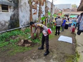 Penemuan jenazah bayi di Kecamatan Sumberpucung, Kabupaten Malang (ist)