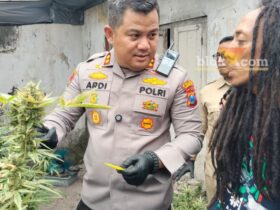 Polisi saat menggerebek rumah kontrakan yang jadi ladang ganja di Mojongapit, Jombang.(Blok-a.com/Syahrul Wijaya)