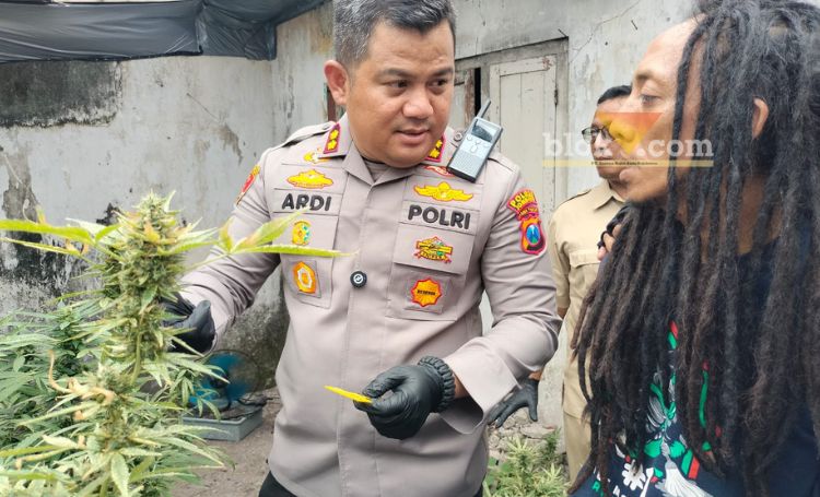 Polisi saat menggerebek rumah kontrakan yang jadi ladang ganja di Mojongapit, Jombang.(Blok-a.com/Syahrul Wijaya)