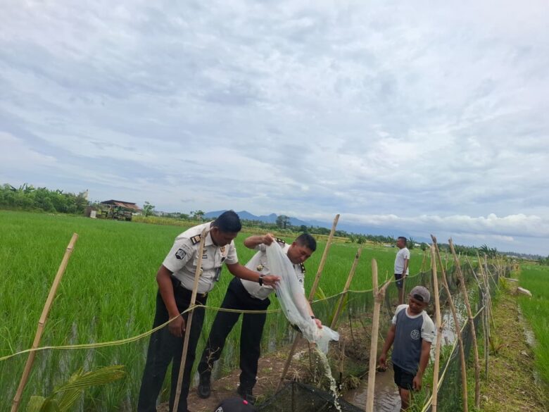 Caption : Kepala Seksi Kegiatan Kerja Lapas Kelas IIA Banyuwangi, Priyo Asmanto bersama warga binaan saat menebar 2000 benih ikan nila di lahan Sarana Asimilasi dan Edukasi, Selasa (6/2/2026)(dok Humas Lapas).