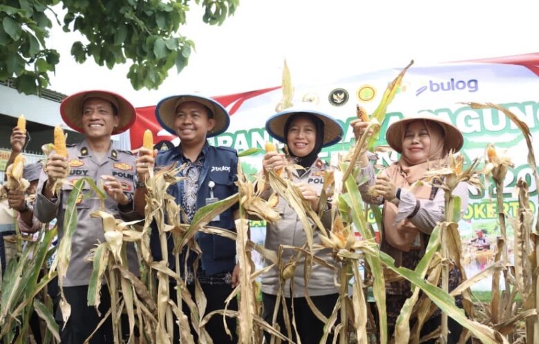 Teks: Panen raya jagung kuartal pertama tahun 2026 di Desa Pageruyung, Kecamatan Gedeg, Mojokerto.(blok-a.com/Syahrul Wijaya)