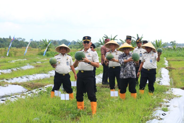 Caption : Kalapas Banyuwangi, I Wayan Nurasta Wibawa, bersama Kepala Kanwil Ditjenpas Jawa Timur, Kadiyono, serta Wakil Bupati Banyuwangi, Mujiono, saat hadiri Panen raya semangka di Lapas Kelas IIA Banyuwangi, Kamis (15/1/2026)(dok Humas Lapas )