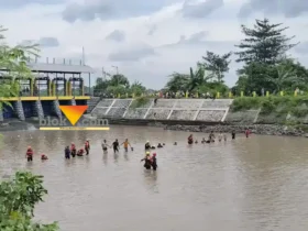 Proses pencarian korban tenggelam di sungai Sadar, Bangsal, Mojokerto.(blok-a.com/Syahrul Wijaya)