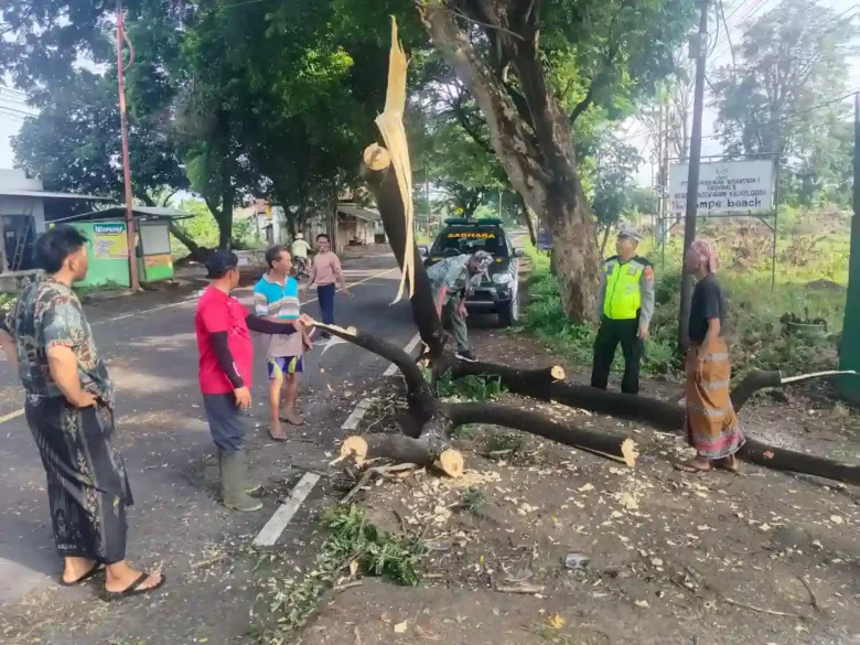 Anggota Polsek Wongsorejo saat lakukan olah TKP insiden pohon roboh yang menimpa dua pengendara sepeda motor di Jalan Raya Situbondo-Banyuwangi, Rabu (14/1/2026)(dok Polsek Wongsorejo untuk blok-a.com)