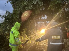 Teks: Anggota polisi Polsek Pungging sedang mengevakuasi pohon tumbang yang menutup akses jalan.(blok-a.com/Syahrul Wijaya)