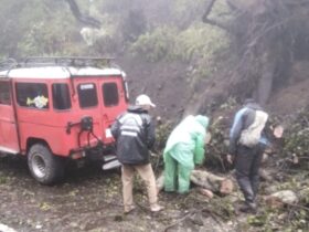 Longsor yang terjadi di Bukit Kingkong Bromo (Istimewa)