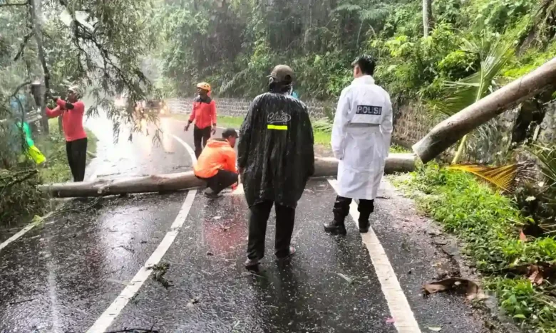 Personel Polsek Glagah, Tim TRC BPBD Banyuwangi, dibantu perangkat Desa Kenjo saat mengevakuasi pohon tumbang yang menutup arus lalu lintas di jalur penghubung Kecamatan Glagah dengan Kecamatan Licin, Kamis (12/2/2026)
