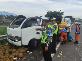 Kondisi mobil Isuzu Traga muatan durian usai terguling setelah mengalami pecah ban di ruas tol SuMo.(Foto: Dokumen PJR 3 Polda Jatim)