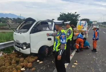 Kondisi mobil Isuzu Traga muatan durian usai terguling setelah mengalami pecah ban di ruas tol SuMo.(Foto: Dokumen PJR 3 Polda Jatim)