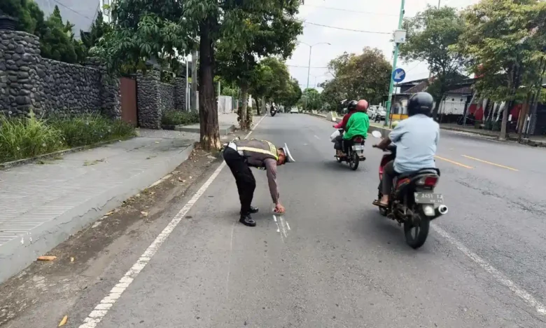 Piket lantas saat lakukan olah TKP laka tunggal yang terjadi di Jalan Gaja Mada, Banyuwangi, Senin (2/2/2026) (blok-a.com/Kuryanto)