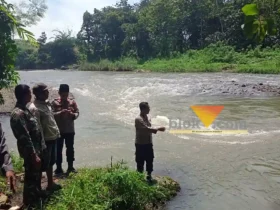 Lokasi hanyutnya bocah laki-laki berusia 8 tahun di Sungai Kalibaru di Dusun Pengundangan, Desa Karangharjo, Kecamatan Glenmore, Banyuwangi, Jumat (6/3/2026) (foto: Blok-a.com/Kuryanto)