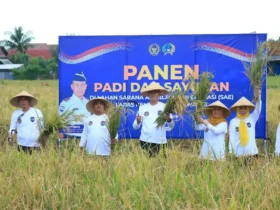 Dalam rangka mendukung program ketahan pangan nasional, Lapas Banyuwangi melalui lahan SAE Paswangi, sukses menggelar panen raya komoditas padi dan sayuran, Senin (16/3/2026)(dok Humas Lapas).