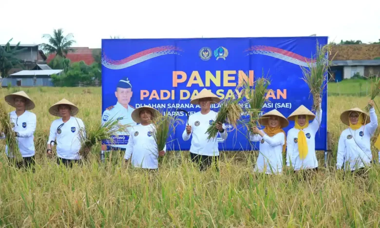 Dalam rangka mendukung program ketahan pangan nasional, Lapas Banyuwangi melalui lahan SAE Paswangi, sukses menggelar panen raya komoditas padi dan sayuran, Senin (16/3/2026)(dok Humas Lapas).