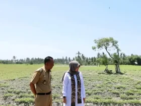 Bupati Ipuk saat tinjau salah satu wilayah yang mulai alami kekeringan (foto: ist)