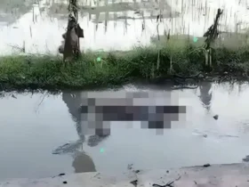 Jasad pria yang ditemukan mengapung di sungai Gongseng, Megaluh, Jombang (foto: istimewa)