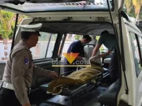 Polisi saat melakukan evakuasi korban tabrak lari yang meninggal di TKP di Jalan Raya Purwodadi-Pesanggaran, Rabu (1/4/2026) (foto: Blok-a.com/Kuryanto)