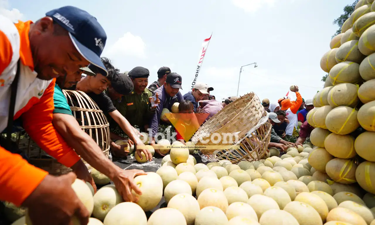 Petani dan masyarakat mengikuti kegiatan wiwarah atau berbagi melon pada Panen Raya & Apresiasi Pestani Melon Pantura di Tuban (foto: dok Petrokimia Gresik for Blok-a.com)