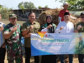 Pimwil Bulog Jatim bersama pimpinan cabang Bulog Mojokerto, Babinsa, PPL kelurahan, wakil 1 DPRD kota Mojokerto menghadiri panen di kelurahan Meri (foto: blok-a.com/Syahrul Wijaya)